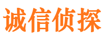 田家庵外遇出轨调查取证